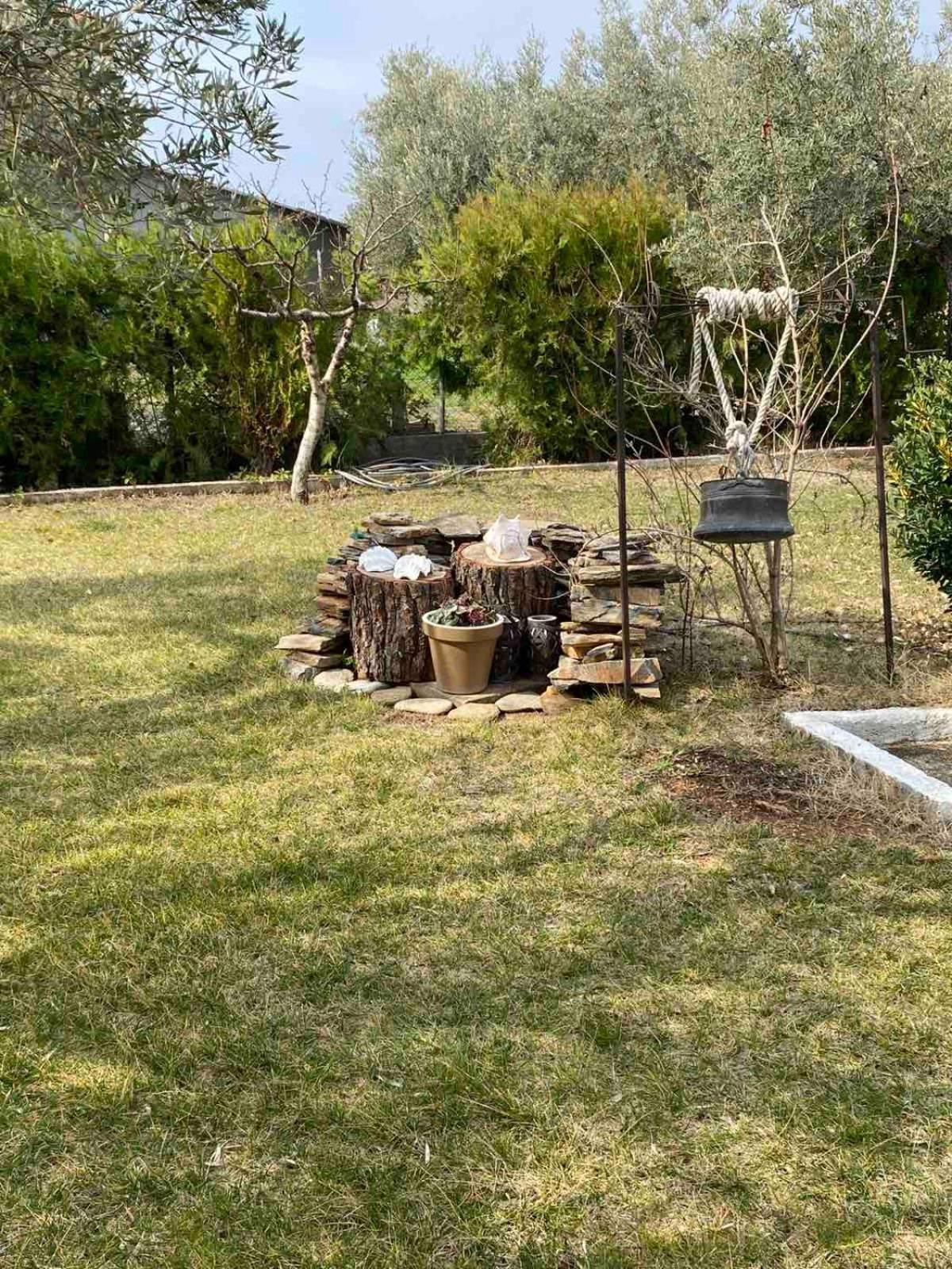 דירות אלכסנדרופולי Golden House מראה חיצוני תמונה